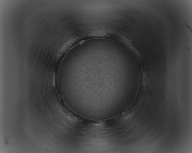 X0000101410068200807141140
