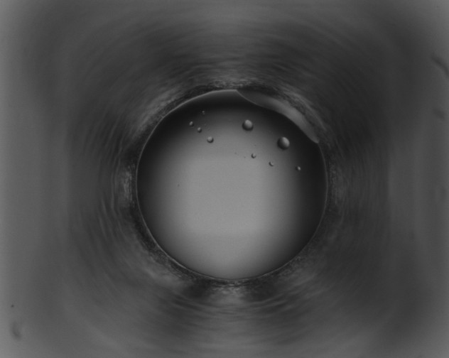 X0000101410071200807141140