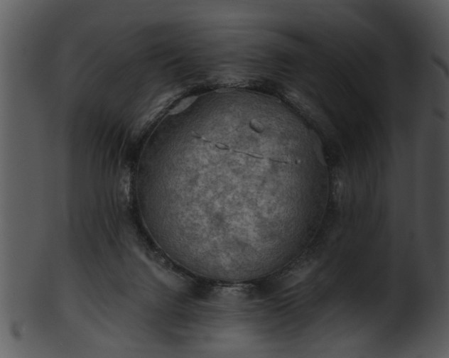 X0000101410072200807141140