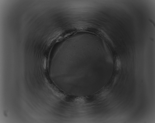 X0000101410076200807141141