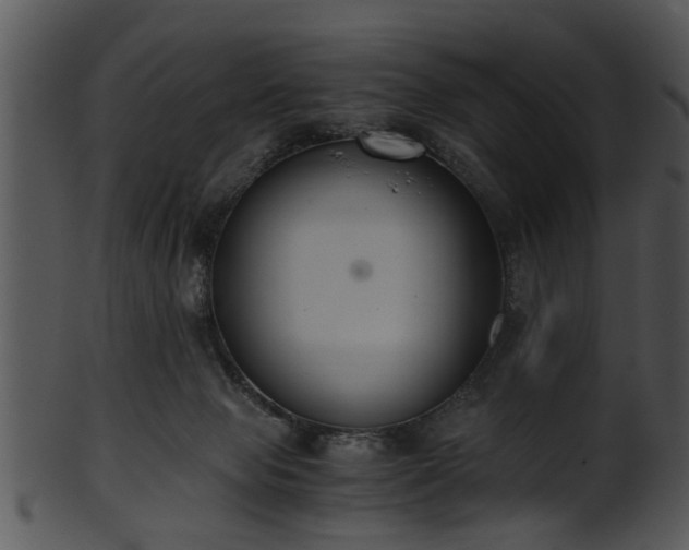 X0000101410077200807141141