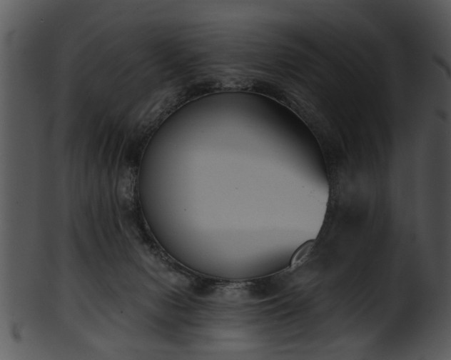 X0000101410078200807141141