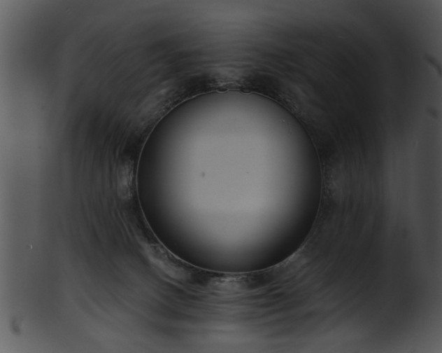 X0000101410082200807141141