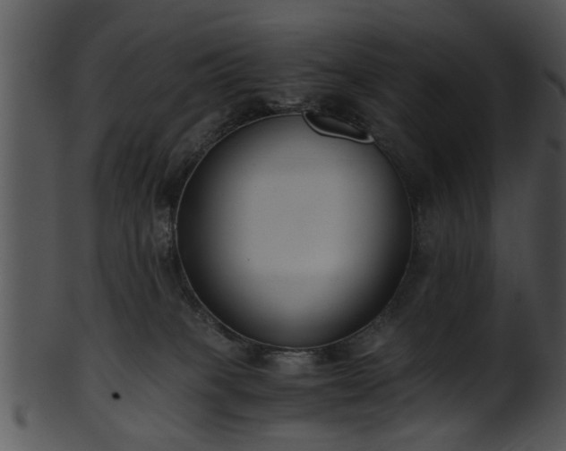 X0000101410085200807141141