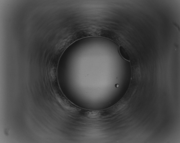 X0000101410088200807141141