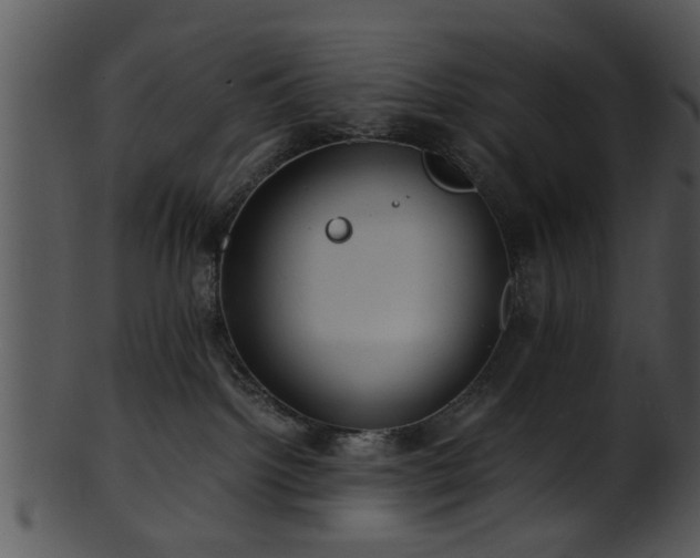 X0000101410092200807141141