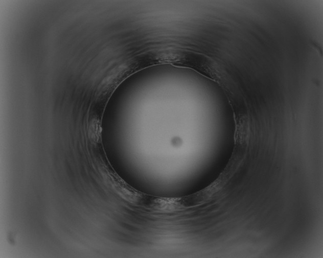 X0000101410093200807141141