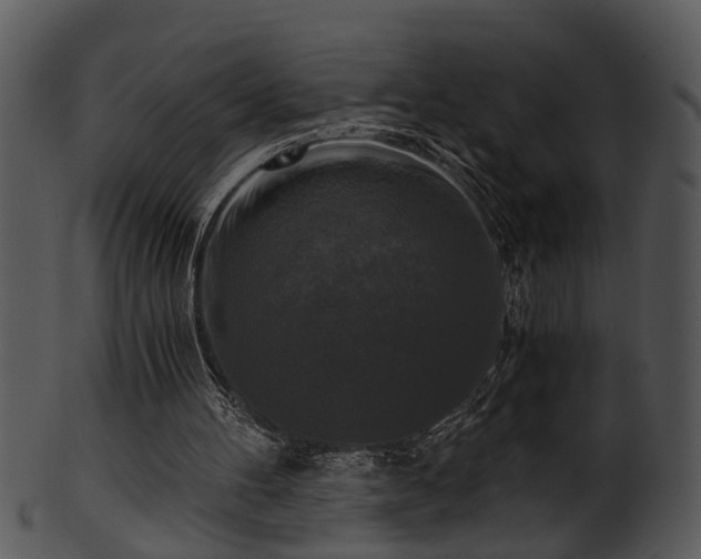 X0000101410100200807141140