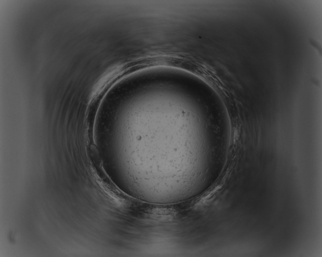 X0000101410101200807141140