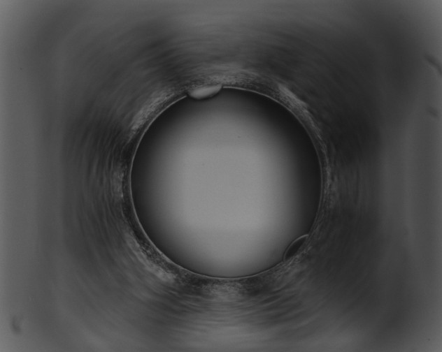X0000101410106200807141140