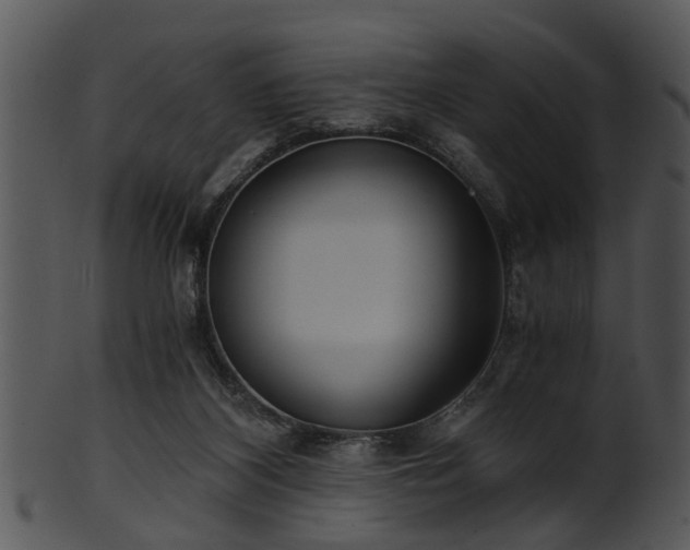 X0000101410116200807141140