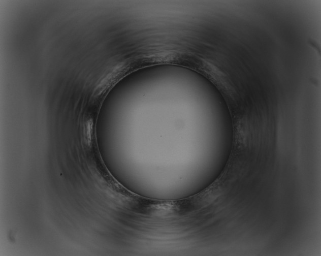 X0000101410118200807141140