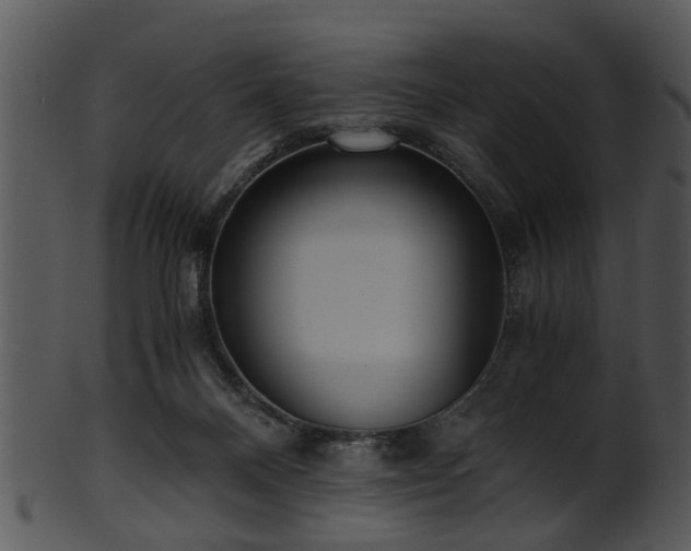 X0000101410120200807141140