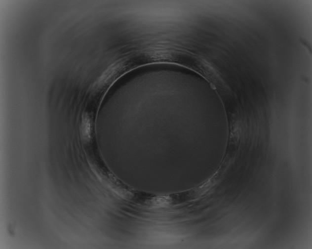 X0000101410124200807141140