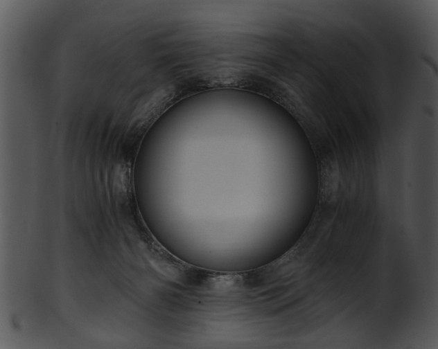 X0000101410126200807141140