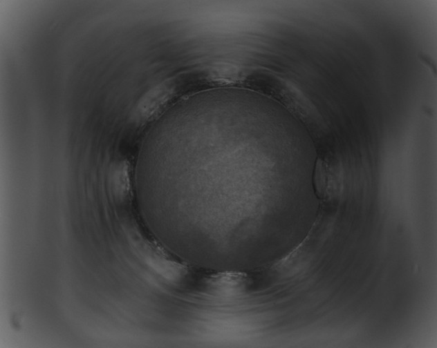 X0000101410128200807141140