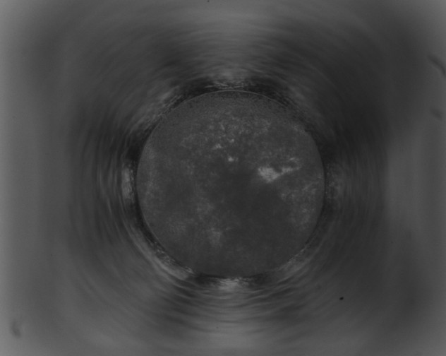 X0000101410130200807141140