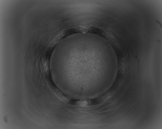 X0000101410131200807141140