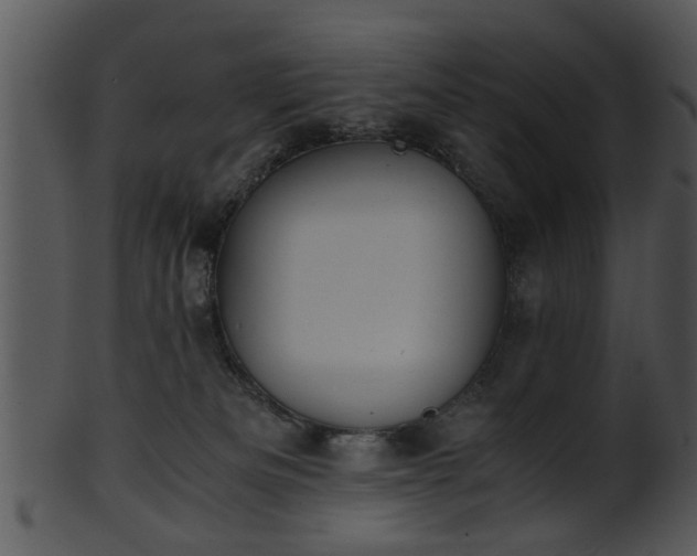 X0000101410133200807141140