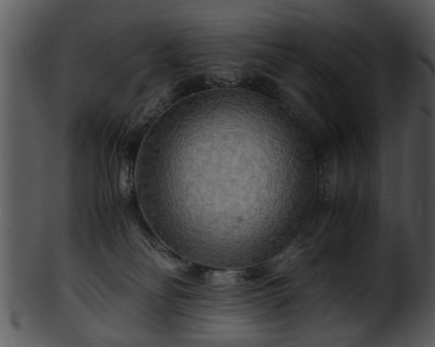 X0000101410134200807141140