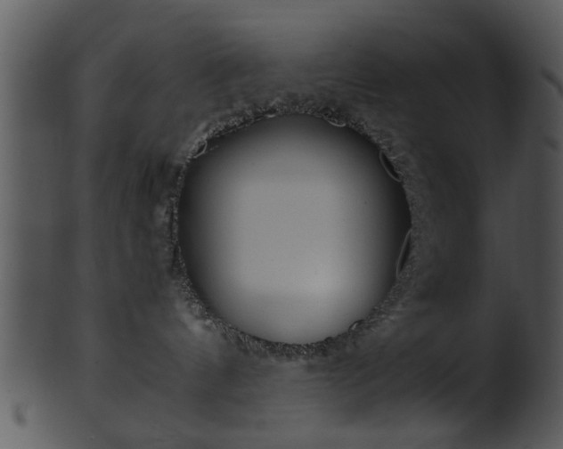 X0000101410144200807141139