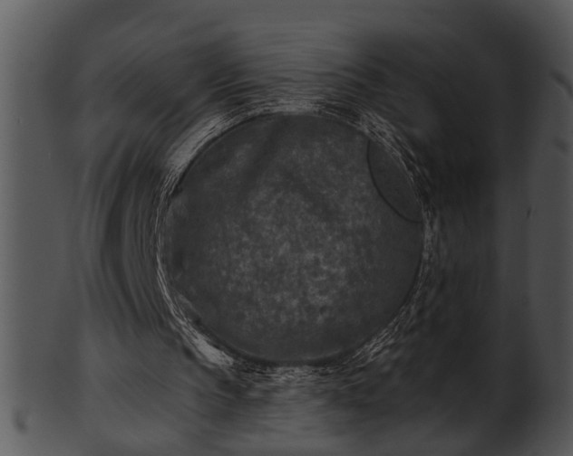 X0000101410145200807141139