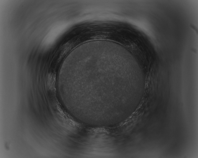 X0000101410146200807141139