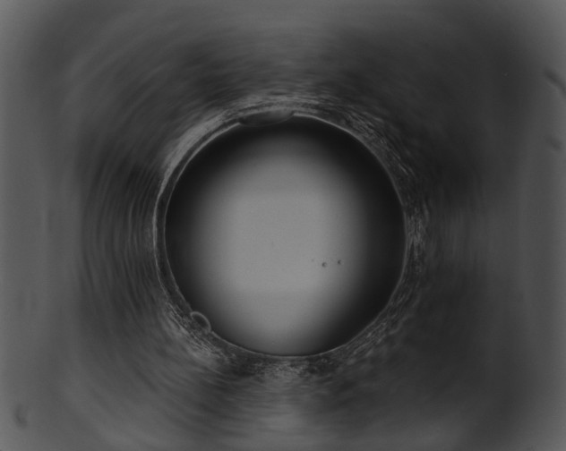 X0000101410148200807141139