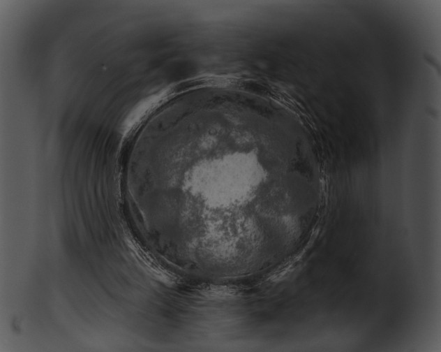 X0000101410149200807141139