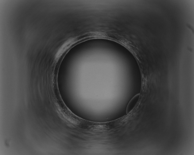 X0000101410151200807141139