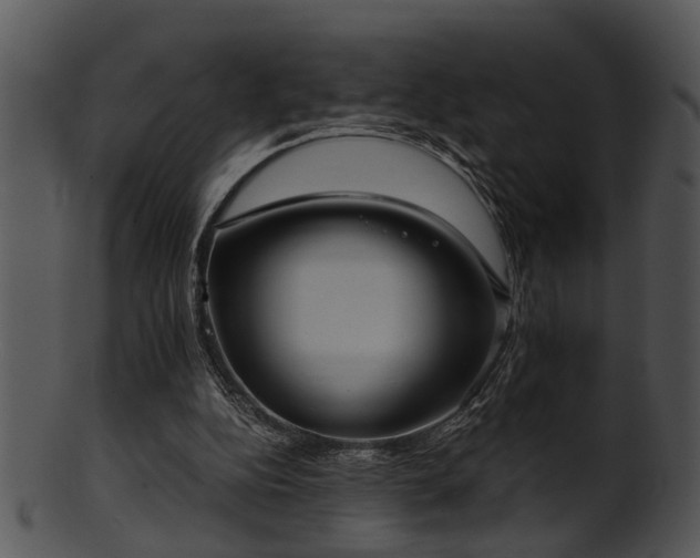 X0000101410152200807141139