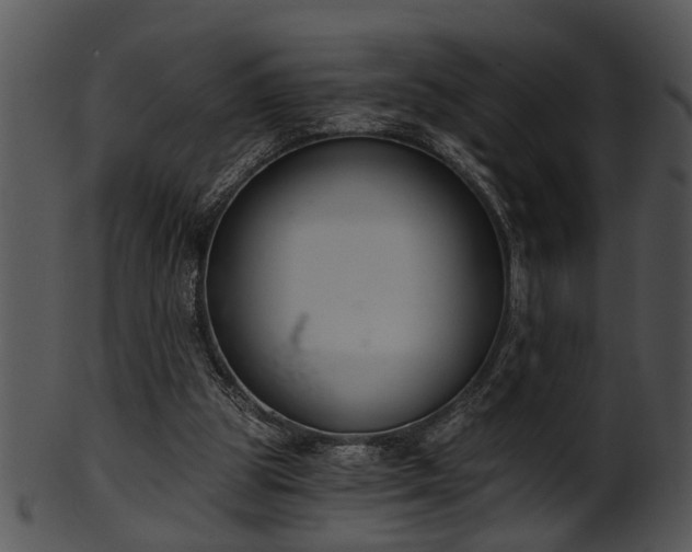 X0000101410153200807141139
