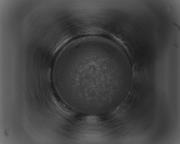 X0000101410154200807141139