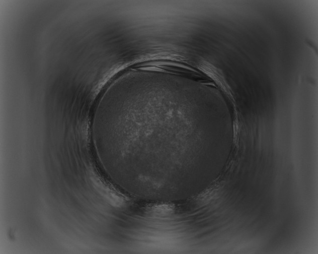 X0000101410156200807141139