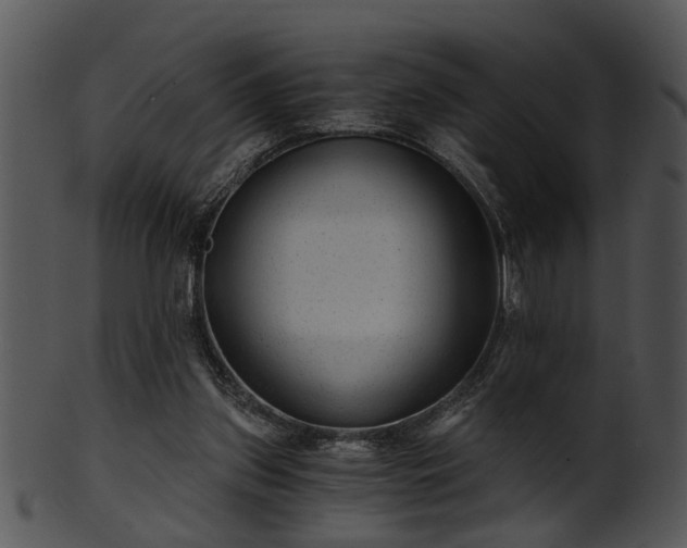 X0000101410157200807141139