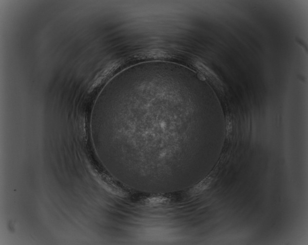 X0000101410158200807141139