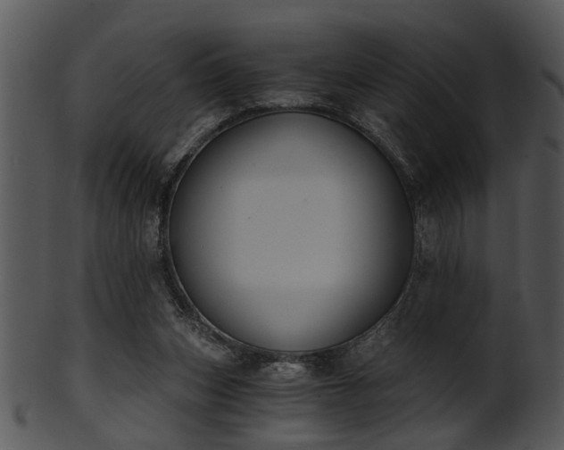 X0000101410159200807141139