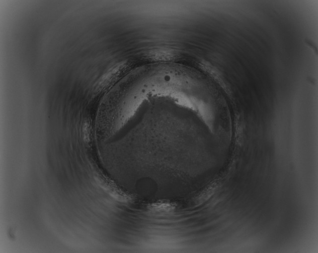 X0000101410161200807141139