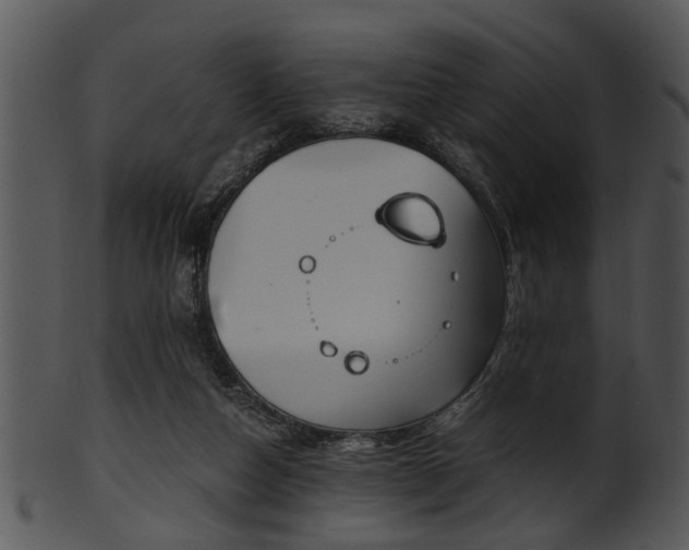 X0000101410162200807141139