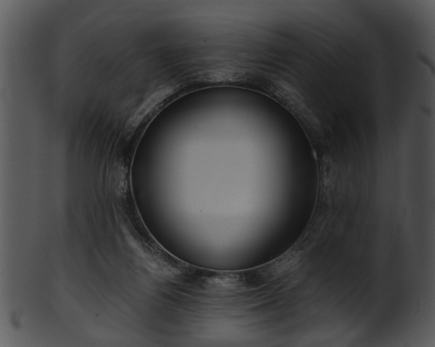 X0000101410164200807141139