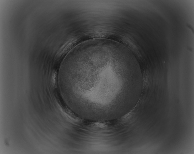 X0000101410166200807141139