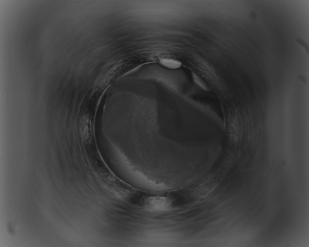 X0000101410169200807141139