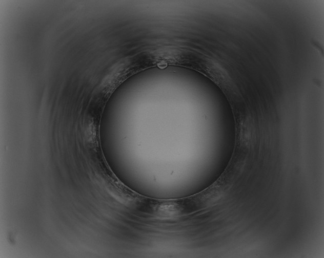 X0000101410173200807141139