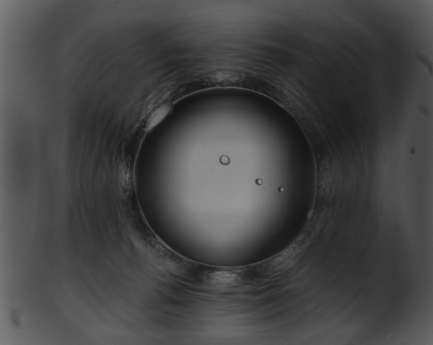 X0000101410176200807141139