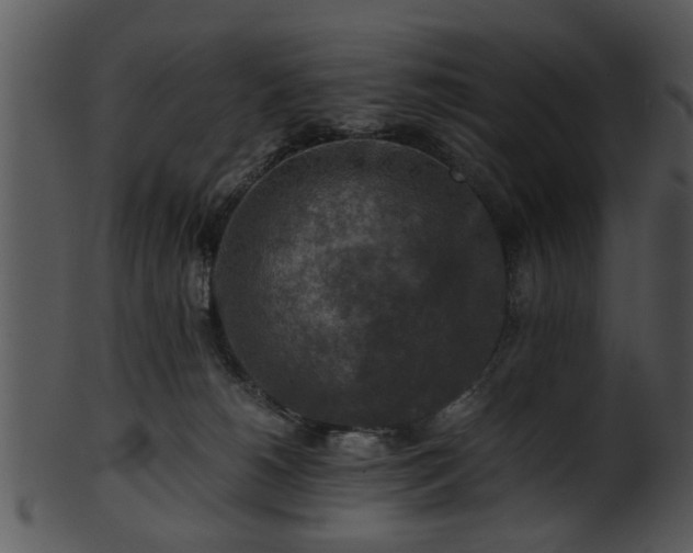X0000101410180200807141139