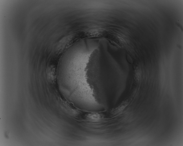 X0000101410181200807141139