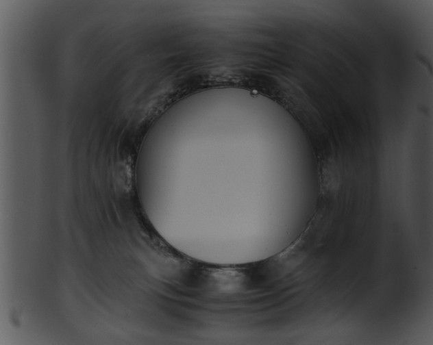 X0000101410183200807141139