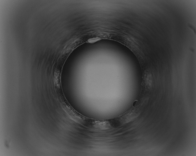 X0000101410185200807141139