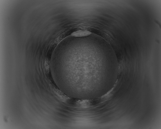 X0000101410186200807141139