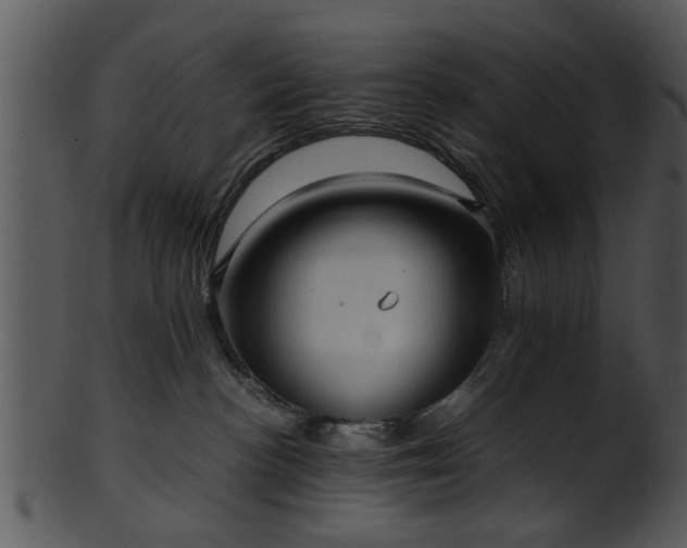 X0000101410188200807141139